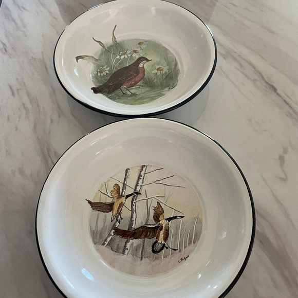 SET OF 2 VINTAGE PAINTED BIRD THEME ENAMEL SOUP/SALAD BOWLS - Picture 1 of 9